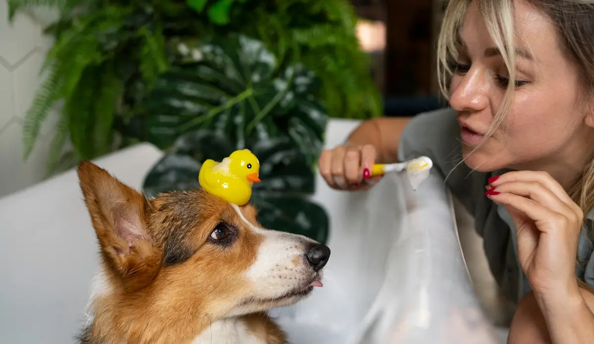 Dog Allergies: Identifying and Managing Allergies in Dogs